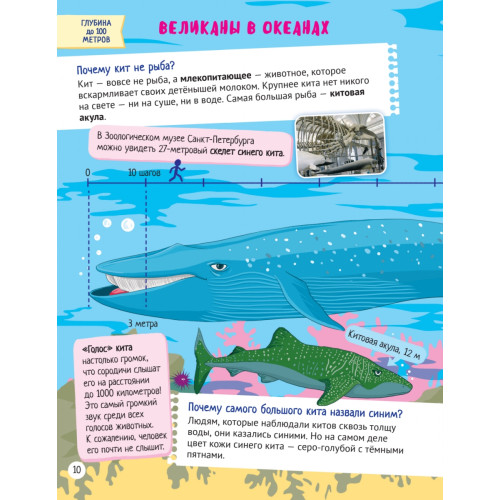 Почему в глубинах живут чудовища? Интересные факты о морских обитателях