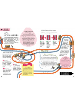 Как устроено Человеческое тело. От клетки до сердца