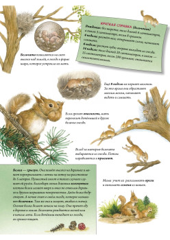 Пушистые малыши. Как растут животные и птицы