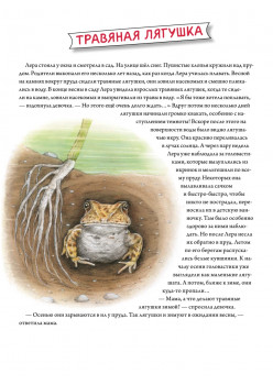 Сладких снов до весны! Как зимуют животные и насекомые