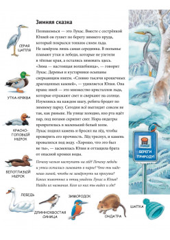 Зима. Находилки-развивалки. Специальное предложение