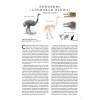 Книга исчезнувших животных. BIObook А. Толмачёва