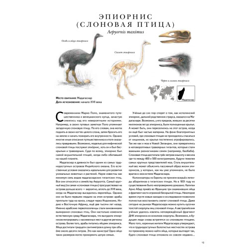 Книга исчезнувших животных. BIObook А. Толмачёва