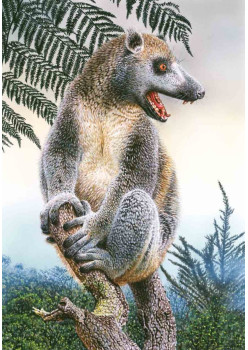 Книга исчезнувших животных. BIObook А. Толмачёва