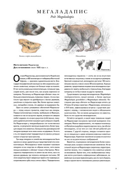 Книга исчезнувших животных. BIObook А. Толмачёва