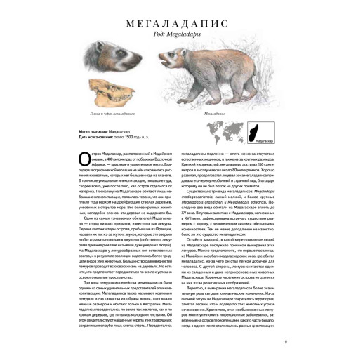 Книга исчезнувших животных. BIObook А. Толмачёва