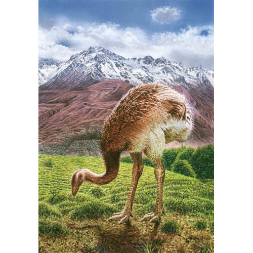 Книга исчезнувших животных. BIObook А. Толмачёва