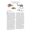 Книга исчезнувших животных. BIObook А. Толмачёва