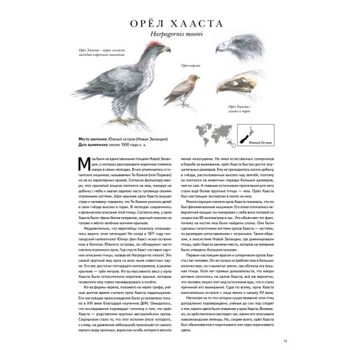Книга исчезнувших животных. BIObook А. Толмачёва