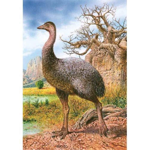Книга исчезнувших животных. BIObook А. Толмачёва