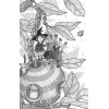 Петронелла и волшебная книга