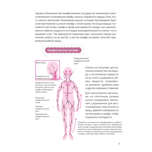 Японская программа красоты: массаж лица и секреты стройного тела