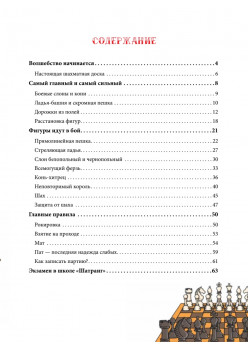 Шахматы для детей. Обучающая сказка в картинках. Дополненное и переработанное издание