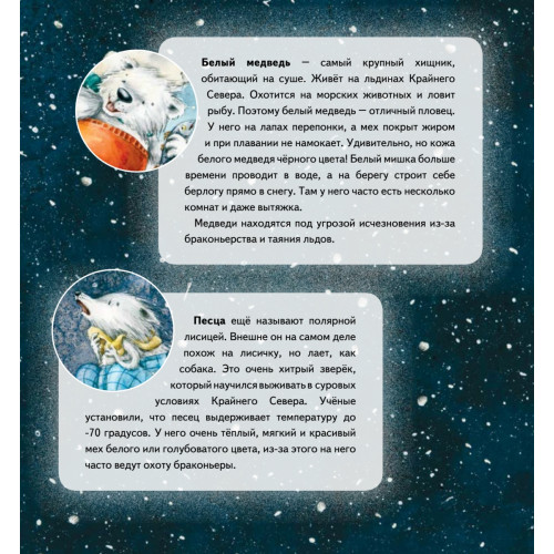 Чудо в Новый год: как Белый Мишка нашёл друзей. Полезные сказки