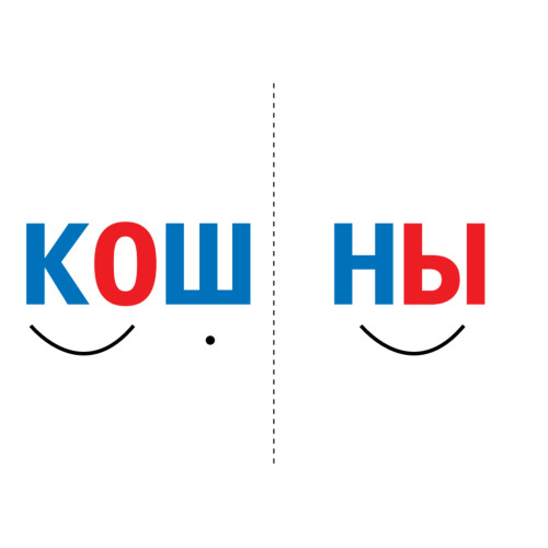 Читаем по слогам. Готовимся к школе
