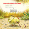 Про наших соседей - от муравьёв до медведей! Логопедические стихи для самых маленьких. Видеозанятие с логопедом - внутри