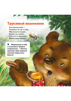 Про наших соседей - от муравьёв до медведей! Логопедические стихи для самых маленьких. Видеозанятие с логопедом - внутри