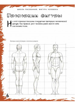 Школа рисования. Фигура человека