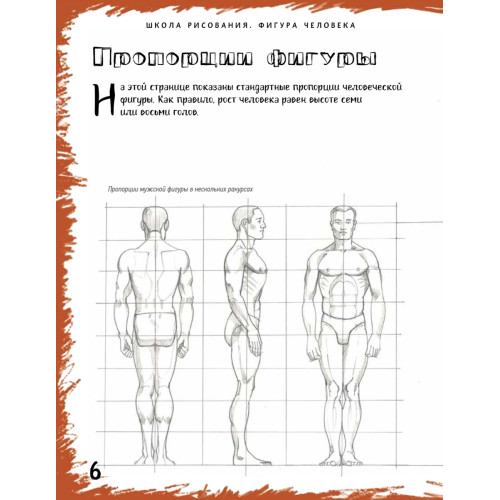 Школа рисования. Фигура человека