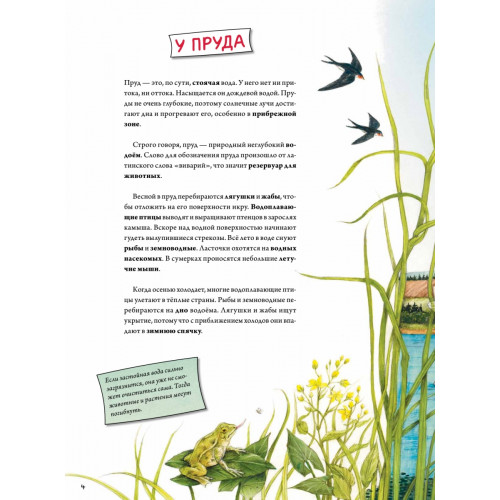 Животные и растения рек, озёр и морей. BIObook А. Толмачёва