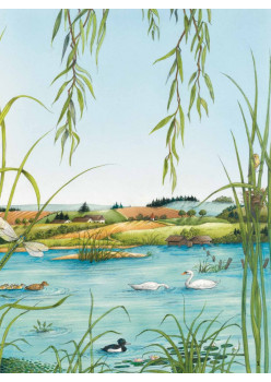 Животные и растения рек, озёр и морей. BIObook А. Толмачёва