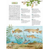 Животные и растения рек, озёр и морей. BIObook А. Толмачёва