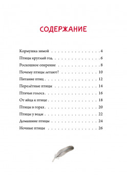 Книга о птицах. BIObook А. Толмачёва