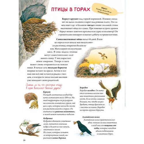 Книга о птицах. BIObook А. Толмачёва