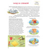 Моя самая красивая книга о кошках и собаках