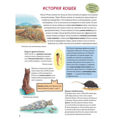 Моя самая красивая книга о кошках и собаках