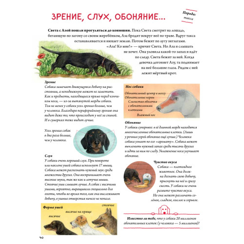 Моя самая красивая книга о кошках и собаках