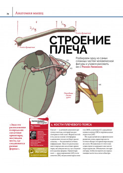 Анатомия. Создание реалистичных людей и животных + мастер-классы по QR-коду