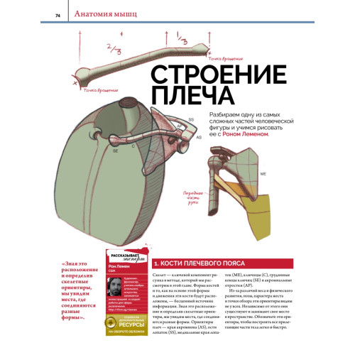 Анатомия. Создание реалистичных людей и животных + мастер-классы по QR-коду