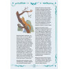 Книга выживших драконов. BIObook А. Толмачёва