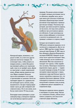 Книга выживших драконов. BIObook А. Толмачёва