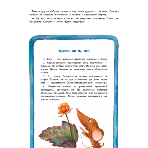 Приключения мышонка Недо на Ладоге. Географические сказки