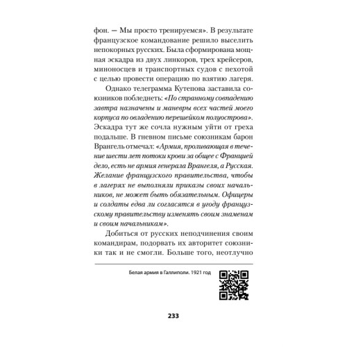 Россия в огне Гражданской войны. Питер покет