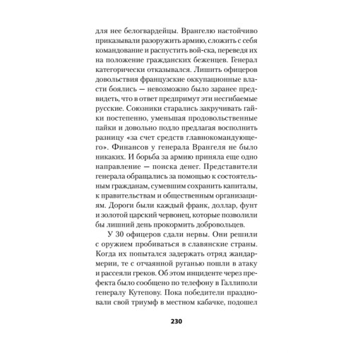 Россия в огне Гражданской войны. Питер покет