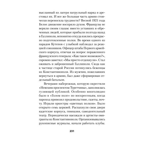 Россия в огне Гражданской войны. Питер покет