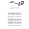 Четвертый корпус, или Уравнение Бернулли