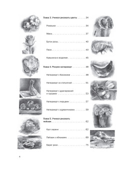 Пошаговые уроки рисования