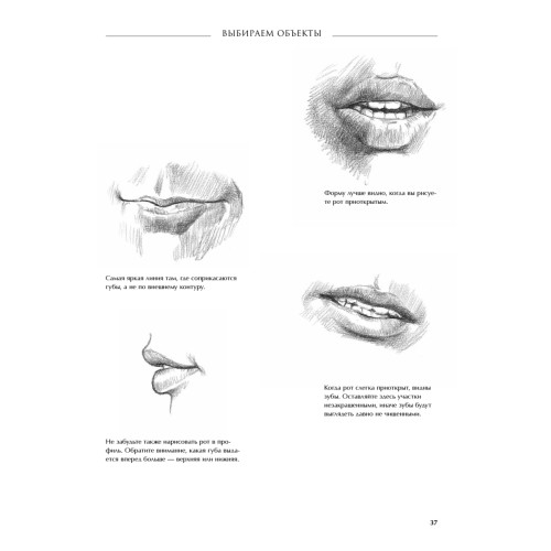 Секреты мастера. 7 простых уроков рисования