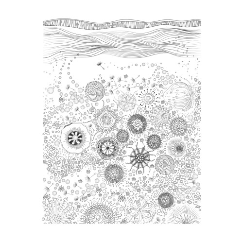 Антистрессовая книга-раскраска Зендудл