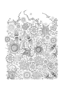 Антистрессовая книга-раскраска Зендудл