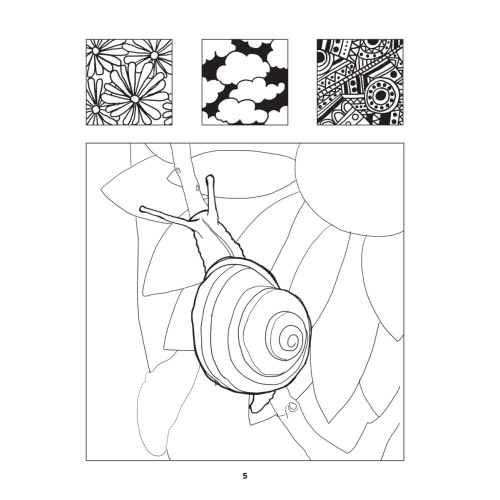 Волшебный лес. Один день – один зендудл