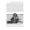 Интерфейс. Основы проектирования взаимодействия. 4-е изд.