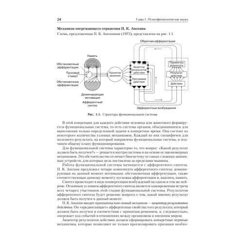 Психофизиология: Учебник для вузов. Стандарт третьего поколения
