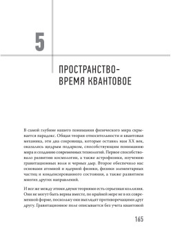 Нереальная реальность. Путешествие по квантовой петле
