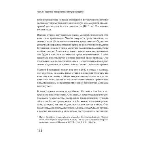 Нереальная реальность. Путешествие по квантовой петле