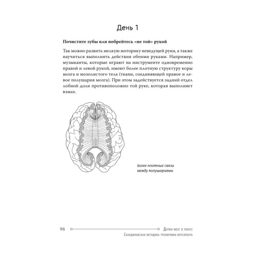 Держи мозг в тонусе. Скандинавская методика тренировки интеллекта